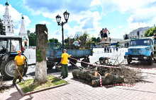 В Ярославле на Советской площади взамен спиленных лип посадят новые