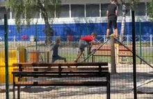 «Не только шпица можно встретить»: жителей Ярославской области просят не путать собачьи и детские площадки