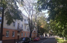 В Ярославле обсудили причины гибели деревьев в городе