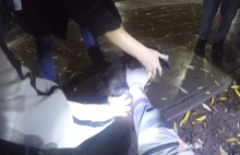 Ярославские спасатели помогли провалившейся в люк собаке