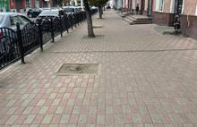 В центре Ярославля меценаты посадят новые деревья взамен спиленных