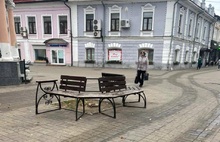 В центре Ярославля меценаты посадят новые деревья взамен спиленных