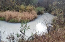 Уголовное дело не помогло: река под Ярославлем вновь стала белой