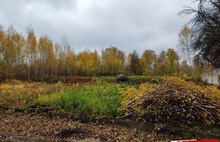 В Ярославле расчищают свободный участок у воинского мемориального кладбища