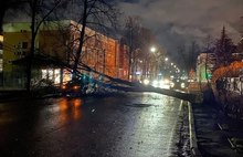 В Ярославле из-за сильного ветра деревья падают на машины