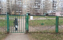Властелины калиток: в Ярославле дети и родители лазают через дыры в школьном заборе