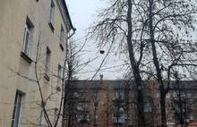 В Ярославле на проводах повис пень