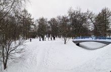 С ярославского парка в пойме Которосли снимают статус памятника природы