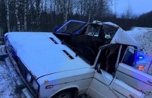 В Ярославской области в результате ДТП лось оказался в салоне автомобиля
