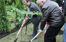 Символ Японии сакура будет цвести в Ярославле. Фоторепортаж