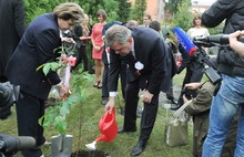 Символ Японии сакура будет цвести в Ярославле. Фоторепортаж