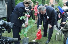 Символ Японии сакура будет цвести в Ярославле. Фоторепортаж