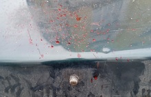 Капот в крови: в Ярославле легковушка врезалась в здание