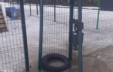 В Ярославле развалилась новая площадка для выгула собак