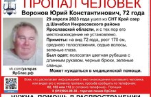 «Увезли на машине»: 72-летний ярославец исчез в Некрасовском районе