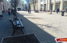 В Ярославле на улице Кирова установили скамейки
