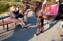 Ярославцы отказываются от прогулок в парке из-за запаха лошадиной мочи
