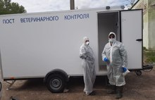 В Ярославской области введен карантин по птичьему гриппу