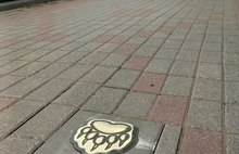 В центре Ярославля появились медвежьи следы