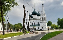 Эксперты назвали варварством обрезку деревьев в Ярославле