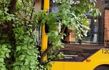В центре Ярославля жёлтый автобус выехал на тротуар и врезался в дерево