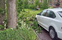 В Ярославле ночью устраняли последствия вчерашней грозы