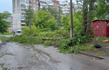 В Ярославле ночью устраняли последствия вчерашней грозы