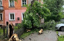 В Ярославле ночью устраняли последствия вчерашней грозы