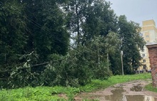 В Ярославле во время непогоды падали деревья