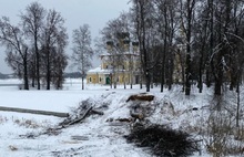 Деревья на территории Угличского кремля вырубили без нарушений