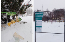 Вандалы испортили ёлку в Юбилейном парке Ярославля