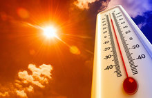 В Ярославле предсказали аномально жаркое лето