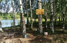 В Ярославле бизнесмен претендовал на застройку леса у озера Техас