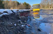 В Ярославле конечную остановку желтых автобусов превратили в помойку