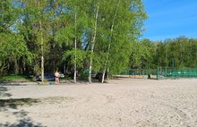 Ярославцы требуют убрать автомобили из парковой зоны в Подзеленье