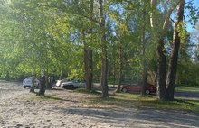 Ярославцы требуют убрать автомобили из парковой зоны в Подзеленье