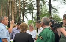 Из-за ремонта ярославской дороги могут вырубить 300 деревьев