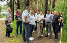 Из-за ремонта ярославской дороги могут вырубить 300 деревьев