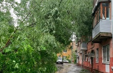 В Ярославле дерево упало на дом