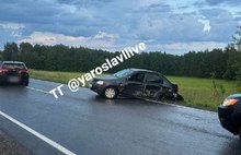 Возле Вятского после столкновения с машиной погиб лось 