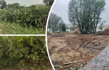 «Мешают трактору»: в ярославском парке подрядчик вырубает липы
