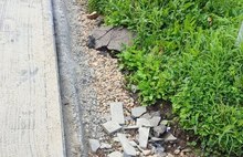 Ярославцы недовольны укладкой плитки возле цирка