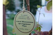 В ярославском парке «Юбилейный» высадили новые деревья