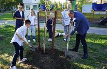 В ярославском парке «Юбилейный» высадили новые деревья