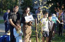 В ярославском парке «Юбилейный» высадили новые деревья