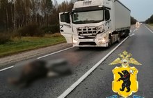 В Ярославской области фура сбила лося