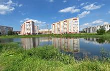 В Заволжском районе Ярославля остановилась очистка пруда