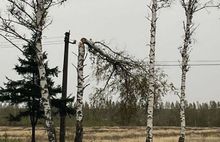 Ярославские энергетики оперативно устраняют последствия непогоды