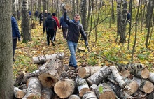 Ярославцы убрали мусор в Павловском парке