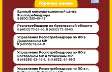 Для ярославцев открыли «горячую линию» из-за опасного турецкого вируса